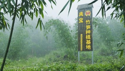 臭寶螺螄粉 深耕供應鏈與品質把控贏得消費者青睞的投資分析