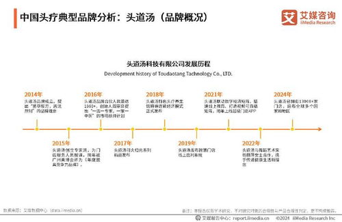 2024-2025年中國頭皮療養(yǎng)行業(yè)發(fā)展趨勢分析與投資前景展望